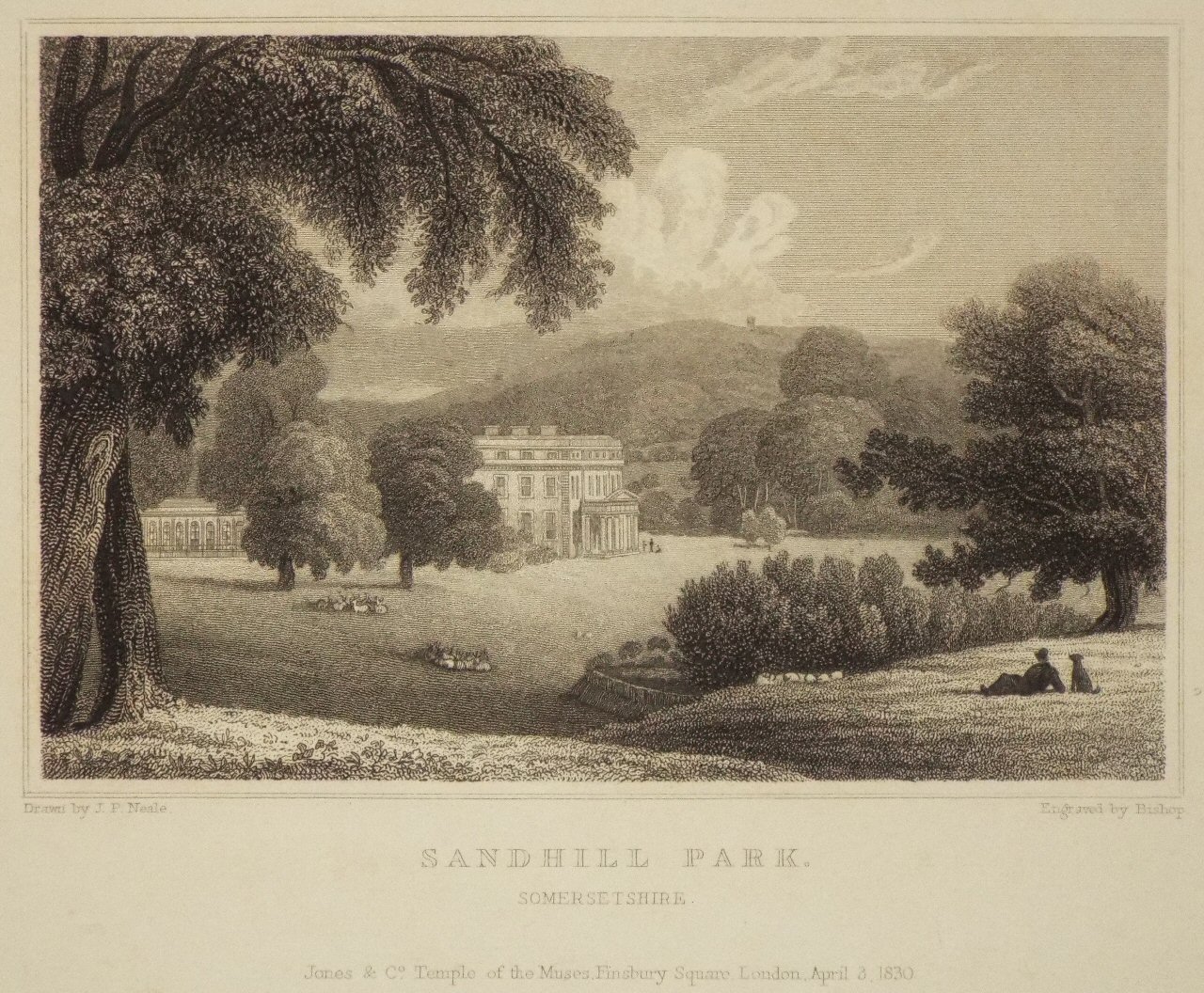 Print - Sandhill Park, Somersetshire. - 